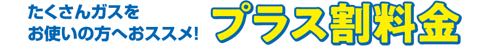 たくさんガスをお使いの方へおススメ！プラス割料金